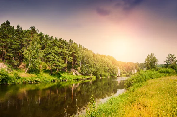 Forest river at sunset