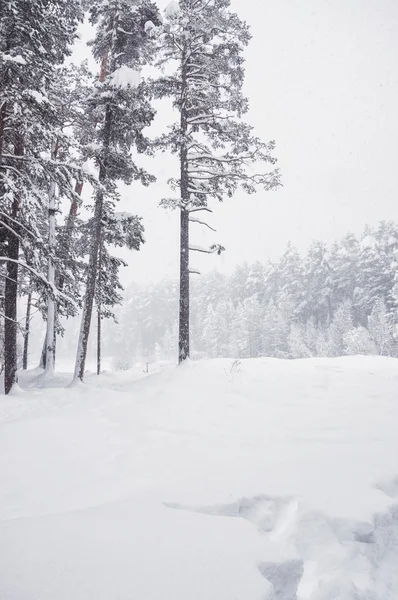 Snowfall on the mountain river.