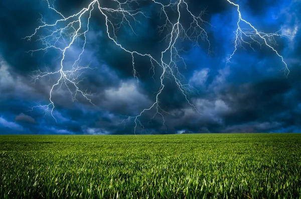 Thunderstorm with lightning in green meadow