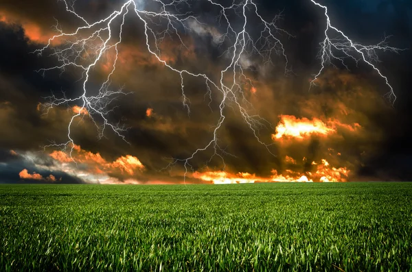 Thunderstorm with lightning in green meadow