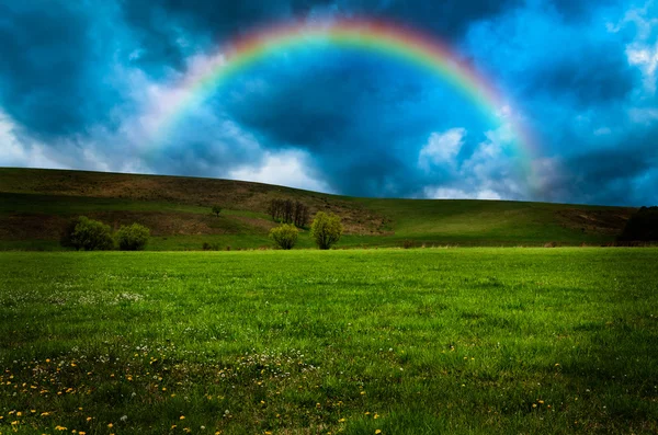 Beautiful field with rainbow at sunset or sunrise