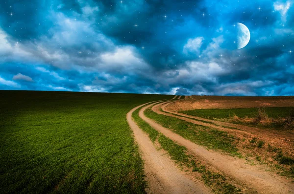 Rural road and sky with stars in the night
