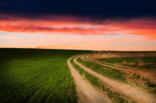 Rural road in the night