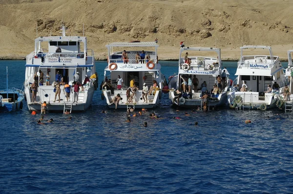 Parking of tourist ships on Red sea, Hurghada