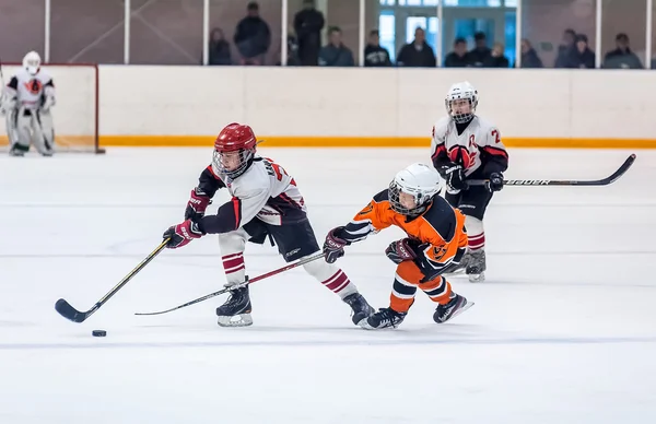 Game between children ice-hockey teams