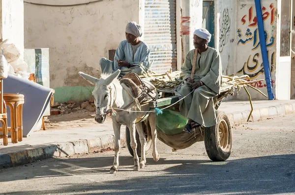 Egyptian men ride his donkey chariot