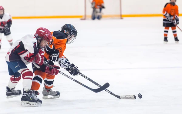 Game between children ice-hockey teams