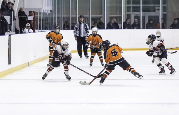 Game between children ice-hockey teams