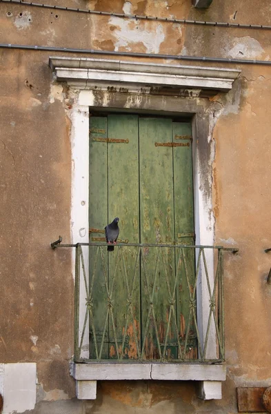 Old door in the house. Venice