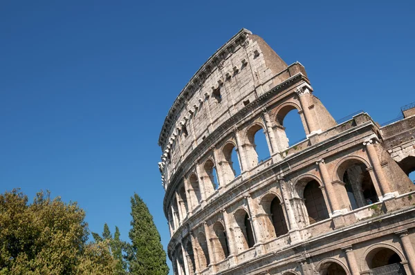 Colosseum , Rome - Italy