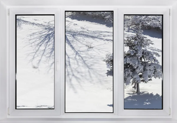 Plastic window with winter landscape