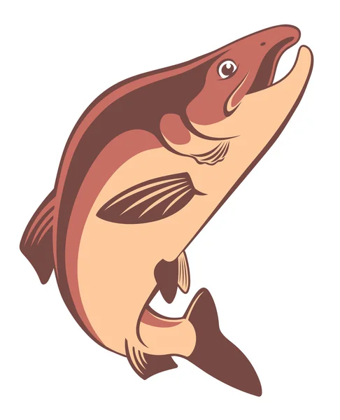 红大马哈鱼鱼 - 图库矢量图像 kvasay #899887