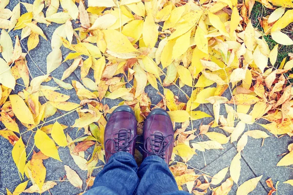 Legs and shoes and yellow leaves at autumn