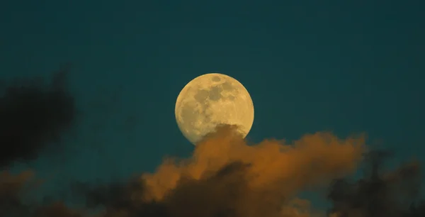 Moon closeup on dark blue sky, behind the clouds