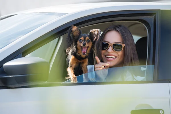 Woman and dog in car