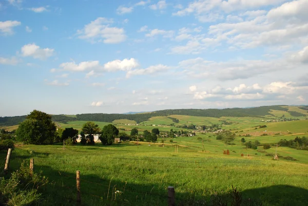 Ukrainian green plains