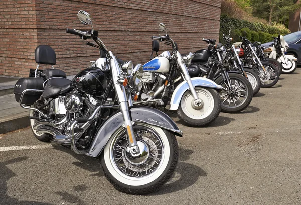 Harley Davidson motorcycles lined up