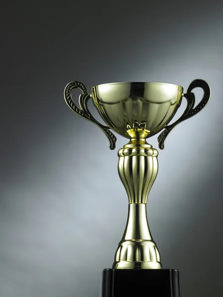Golden trophy cup