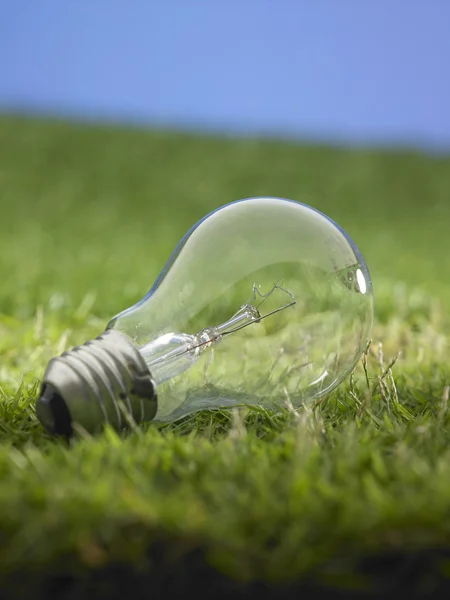Light bulb on the grass