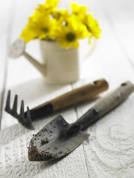 Gardening tool and flowers