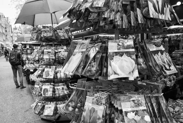 Holland, Amsterdam; 10 October 2011, tulip seeds for sale in a flowers market - EDITORIAL