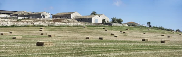 Italy, Sicily, Ragusa Province, countryside, harvested hay field