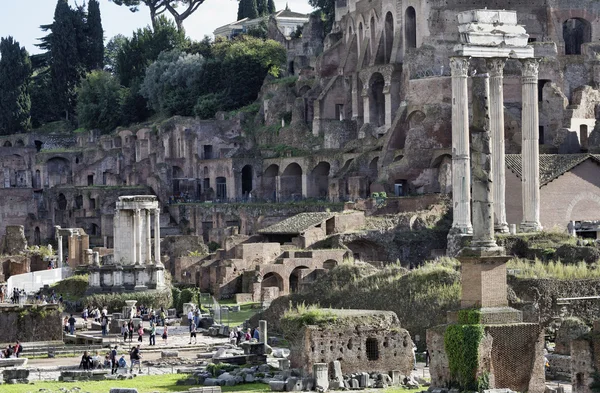 Italy, Rome, Roman Forum, people visiting the Roman ruins