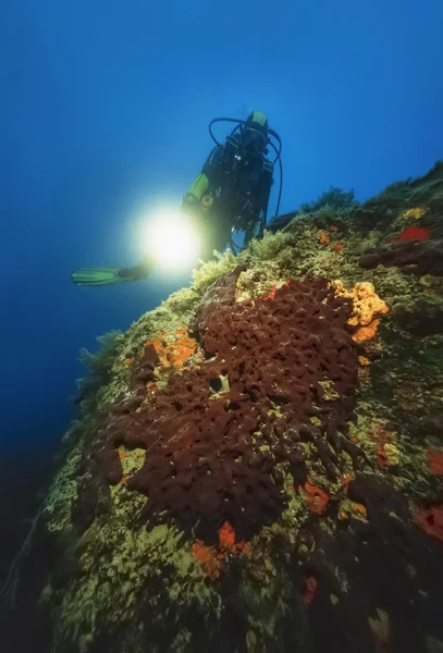 Italy, Mediterranean Sea, U.W. photo, diver and a big sponge - FILM SCAN