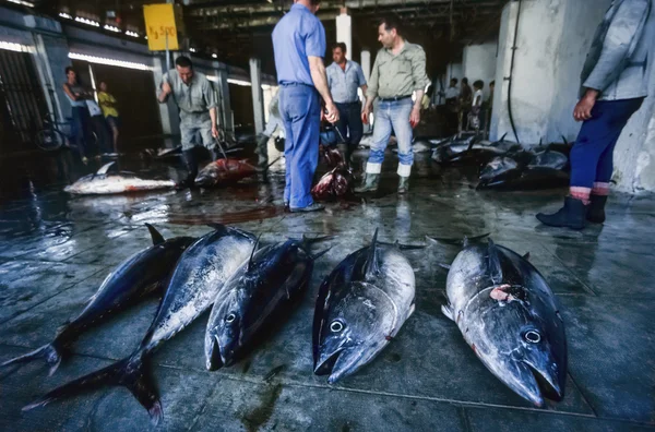 Italy, Sicily, Mediterranean Sea, Favignana Island, big tunas on the floor and fishermen working in the tuna fishing factory - FILM SCAN