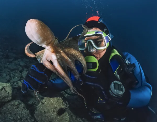 Small octopus and diver in Adriatic Sea