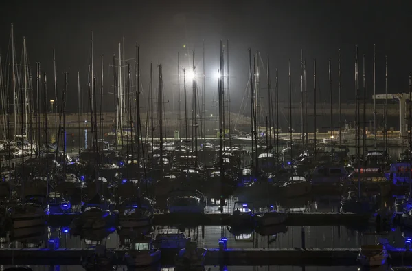 Luxury yachts in the marina at night