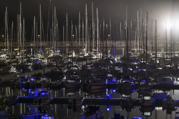 Luxury yachts in the marina at night