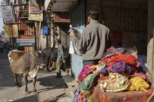 Indian people and a cow at the Uttar Pradesh market