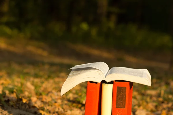 Stack of books and Open hardback book on blurred nature landscape backdrop. Copy space, back to school. Education background.