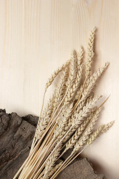 Wheat Ears on Wooden Table. Sheaf of Wheat over Wood Background. Harvest concept. Top view