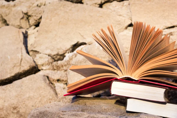 Stack of  book and Open hardback book on blurred nature landscape backdrop against sunset sky with back light. Copy space, back to school. Education background.