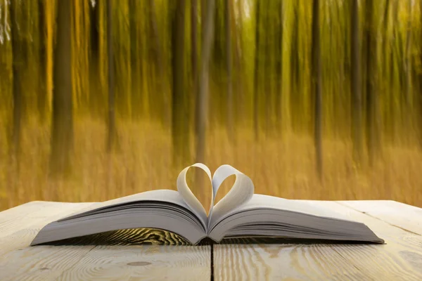 Open book at wooden table on natural blurred background. Heart books page. Back to school. Copy Space