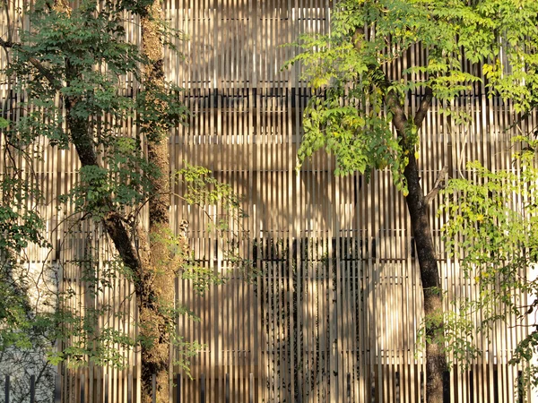 Reduce heat to buildings with lath wood and trees.