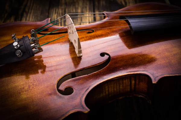 Violin strings and bridge