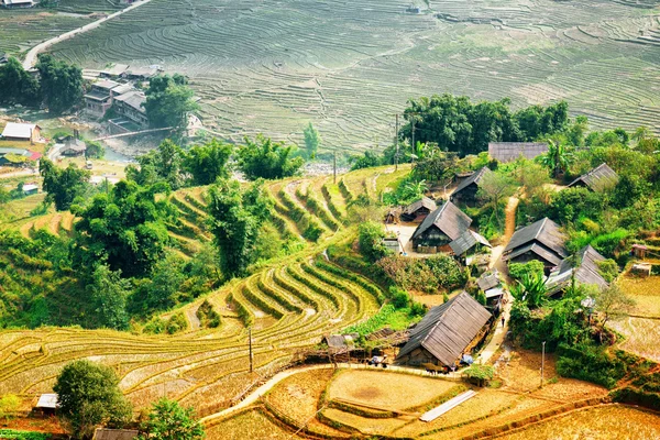 Village houses and rice terraces among green trees in Vietnam
