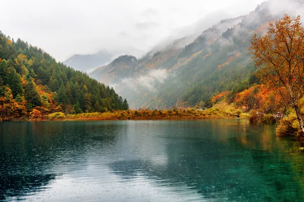 Scenic view of the Tiger Lake among colorful fall forest in rain