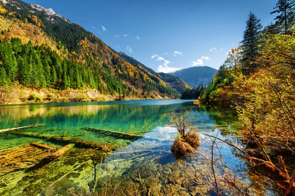 Amazing view of the Arrow Bamboo Lake among mountains and woods