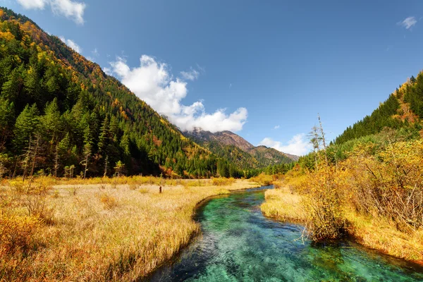 Amazing view of green river with crystal water among fall fields