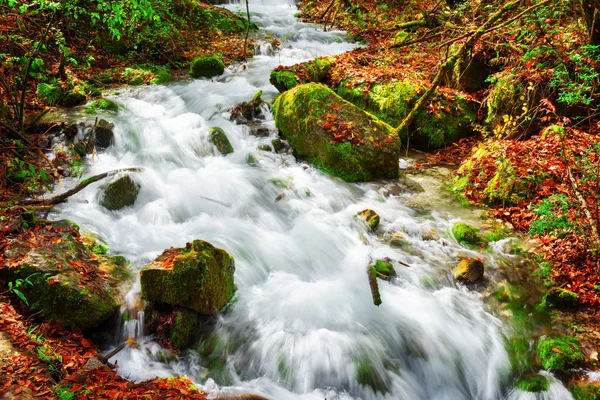 Amazing view of mountain river among mossy stones in autumn