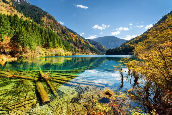 Scenic view of the Arrow Bamboo Lake with crystal clear water