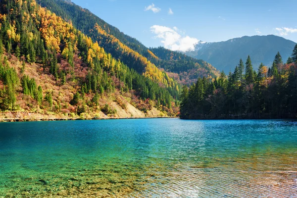 Scenic view of the Arrow Bamboo Lake with azure crystal water