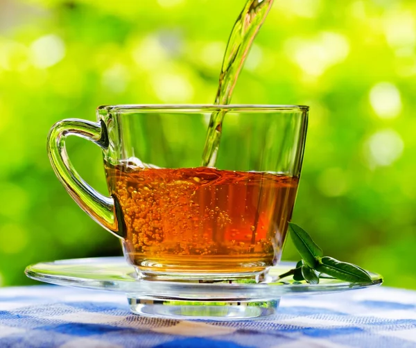Fresh aromatic tea pouring into glass cup