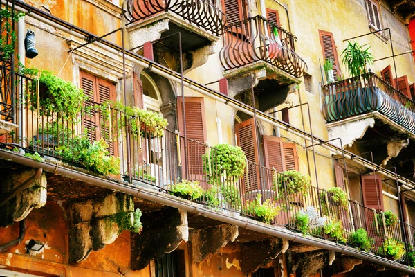 Balconies of old house decorated with flowers in Verona, Italy