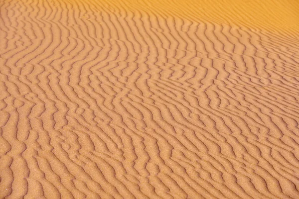Desert close up