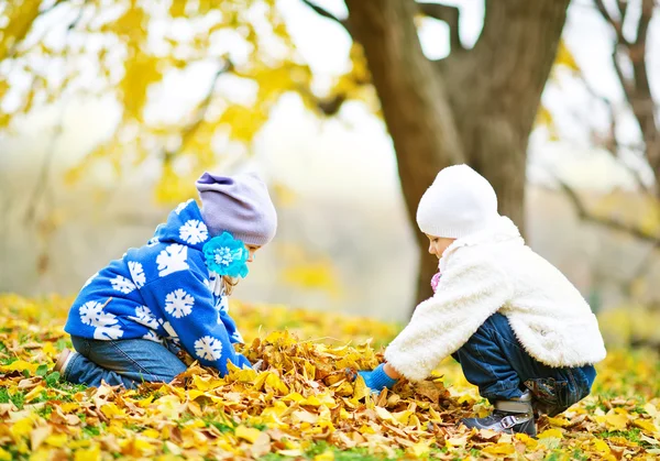 Little sisters   in autumn park